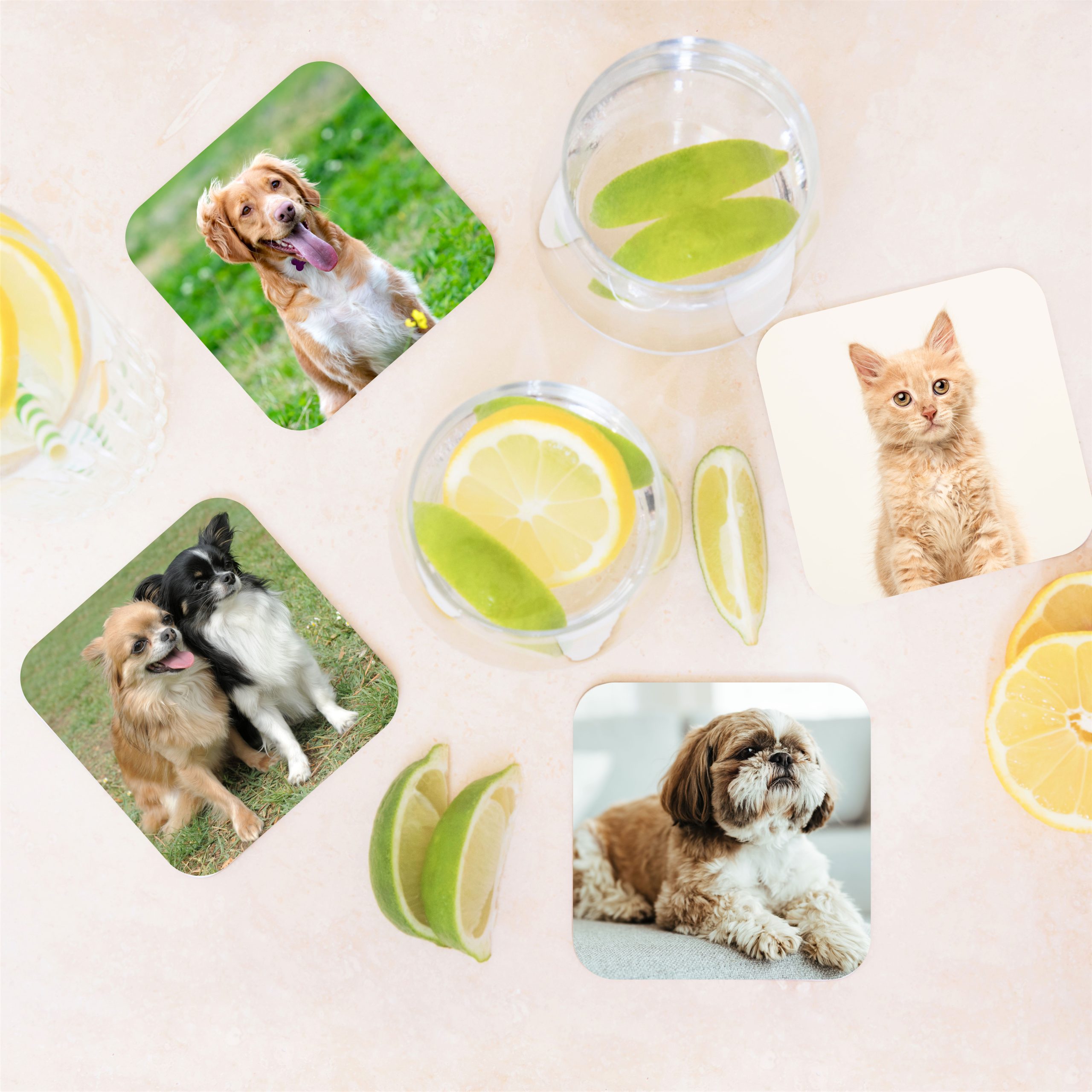 Personalised Pet Photos Wooden Coaster Set - Gift for Dog Dad or Cat Mum - Image 2
