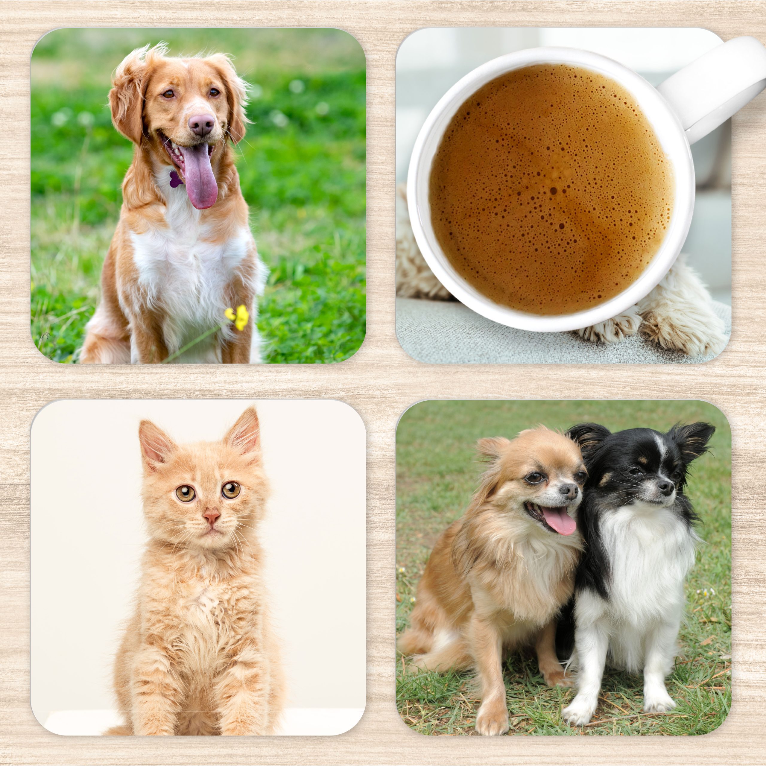 Personalised Pet Photos Wooden Coaster Set - Gift for Dog Dad or Cat Mum
