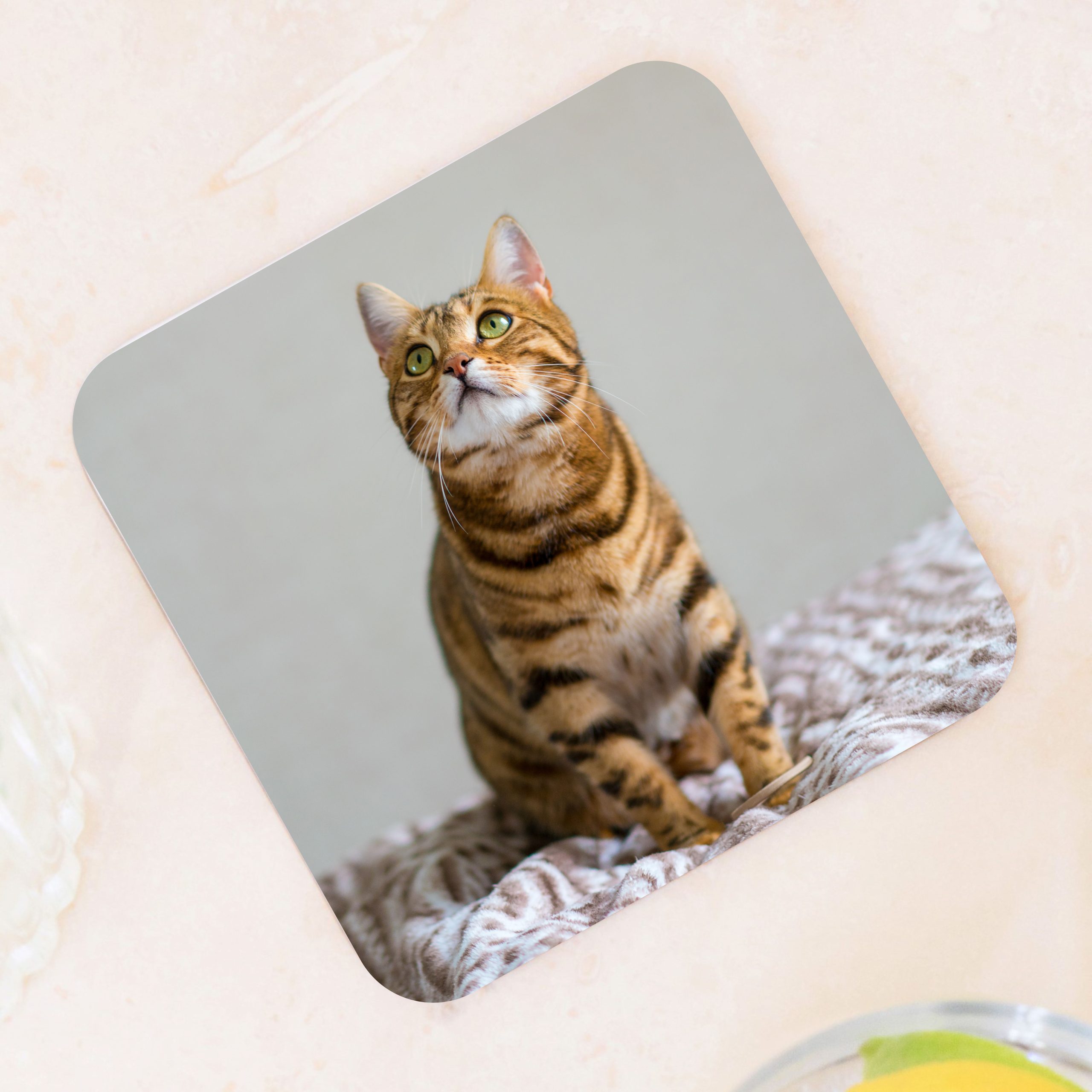 Personalised Pet Photos Wooden Coaster Set - Gift for Dog Dad or Cat Mum - Image 4