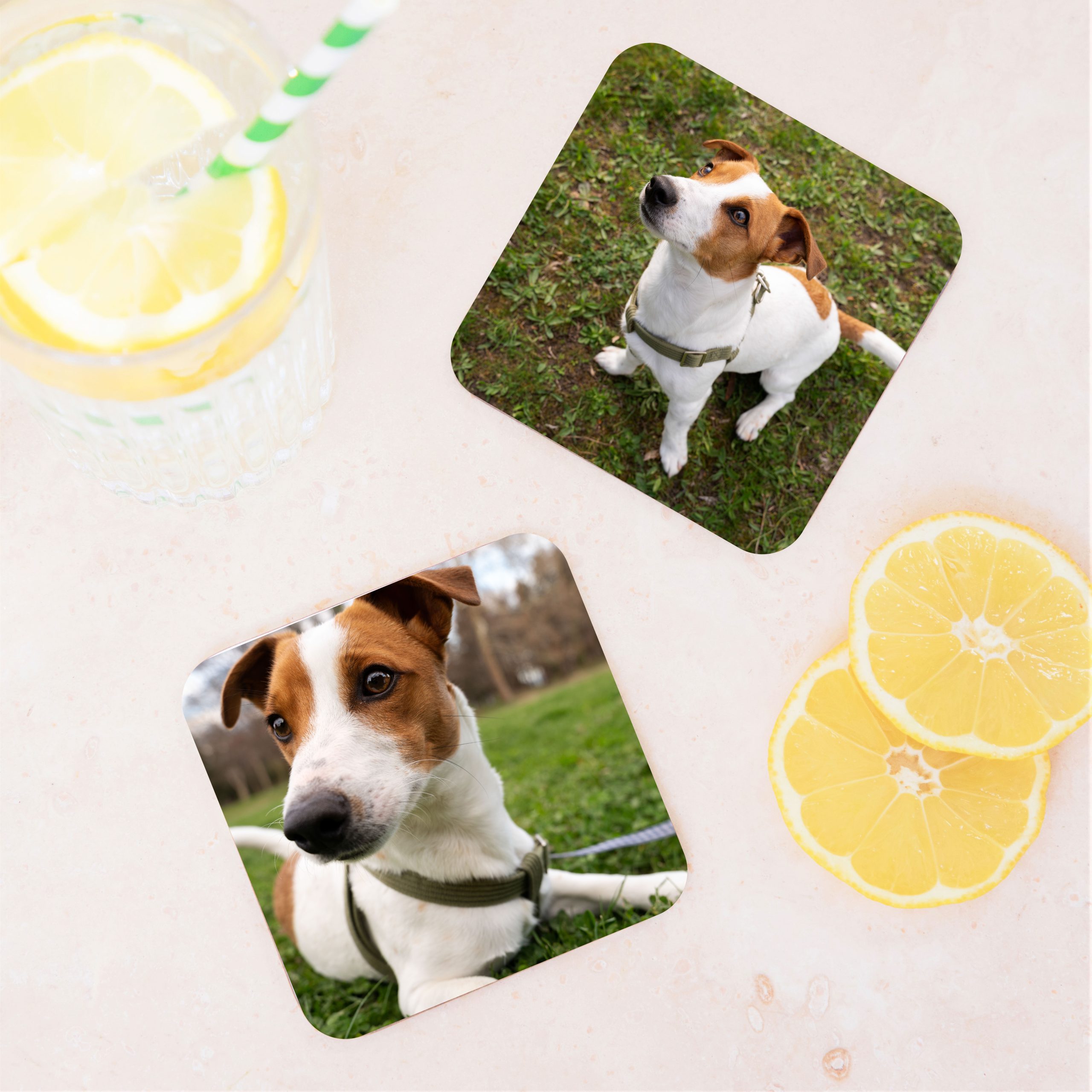 Personalised Pet Photos Wooden Coaster Set - Gift for Dog Dad or Cat Mum - Image 5